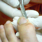 フスフレーゲの受講風景